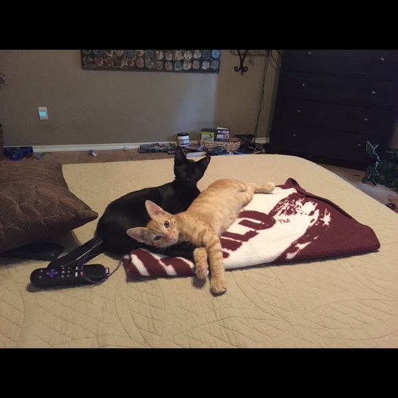 Meet your Posher, Mari - Picture 8 of 11